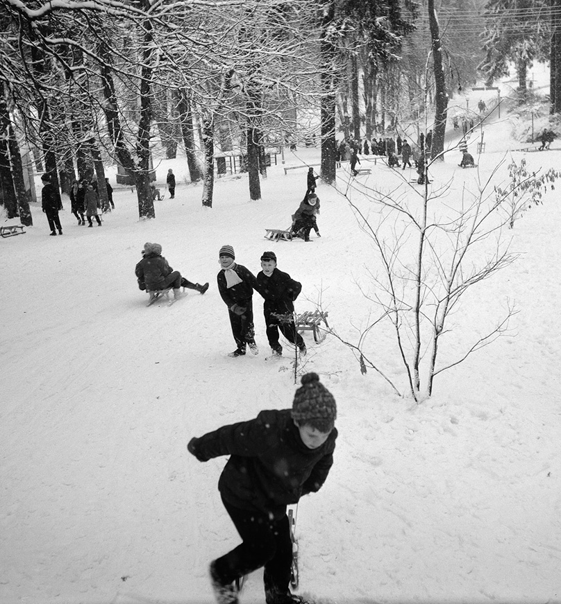 Dzieci jeżdżące na sankach po zaśnieżonym parku. Link do podstrony z tym zdjęciem